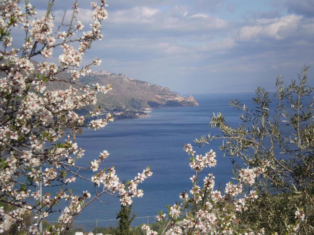 Frühstückspension Taormina's Odyssey